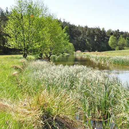 Osada Grzybowski Mlyn