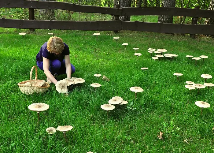 Semesterpark Osada *