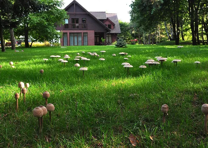 Osada * Grzybowski Mlyn