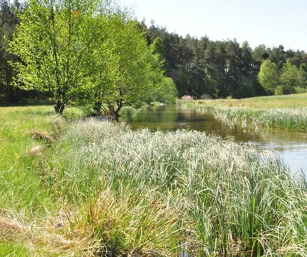 Osada Grzybowski Mlyn